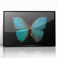 Framed acrylic wall art showcasing a vibrant butterfly design, part of the Insect and Arachnid collection, with a sleek black frame, ideal for modern decor.