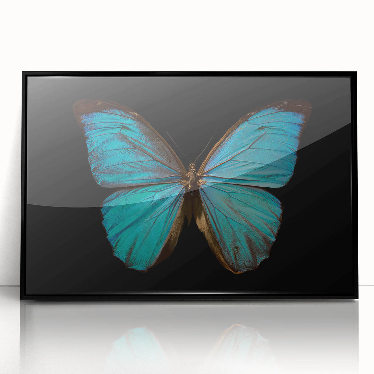 Framed acrylic wall art showcasing a vibrant butterfly design, part of the Insect and Arachnid collection, with a sleek black frame, ideal for modern decor.
