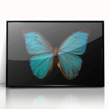 Framed acrylic wall art showcasing a vibrant butterfly design, part of the Insect and Arachnid collection, with a sleek black frame, ideal for modern decor.