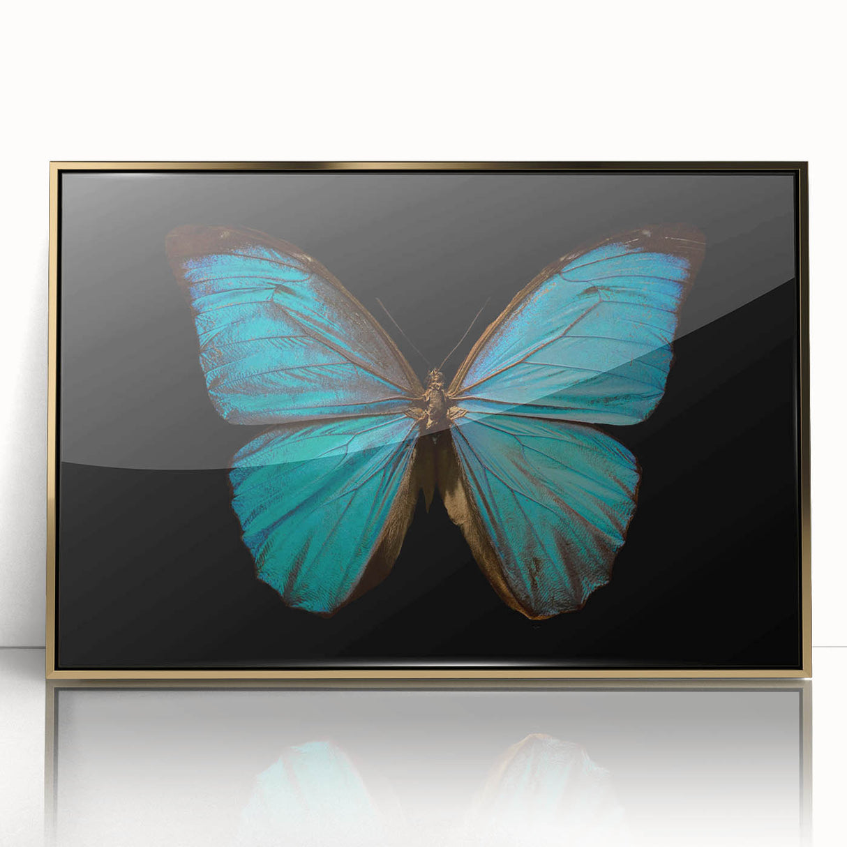 Framed acrylic wall art featuring a vibrant butterfly design from the Insect and Arachnid collection, showcasing intricate details and a gold frame for an elegant touch. Ideal for nature lovers and home decor enthusiasts.