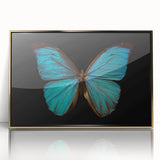 Framed acrylic wall art featuring a vibrant butterfly design from the Insect and Arachnid collection, showcasing intricate details and a gold frame for an elegant touch. Ideal for nature lovers and home decor enthusiasts.