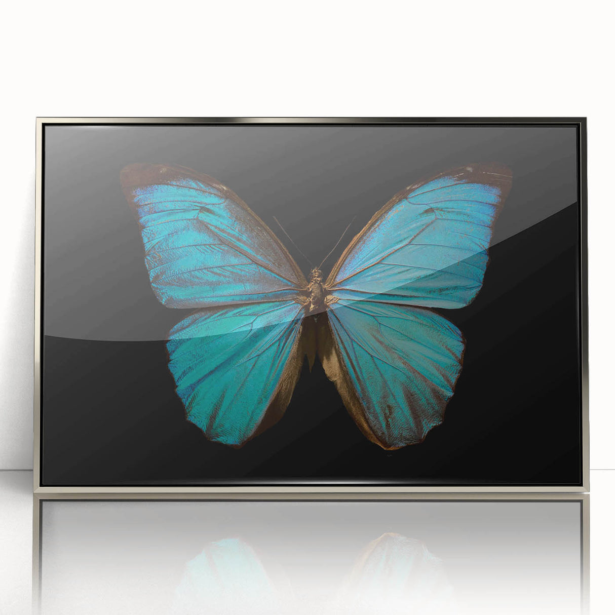 Framed acrylic wall art featuring a detailed butterfly design from the Insect and Arachnid collection, with a sleek silver frame, perfect for adding a touch of nature-inspired elegance to any space.