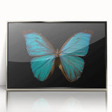 Framed acrylic wall art featuring a detailed butterfly design from the Insect and Arachnid collection, with a sleek silver frame, perfect for adding a touch of nature-inspired elegance to any space.