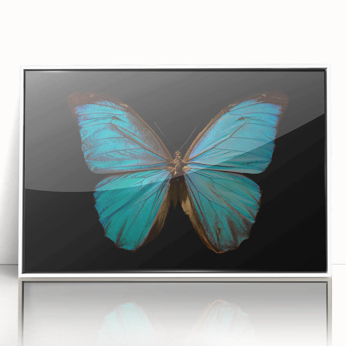 Framed acrylic wall art collection featuring a vibrant butterfly and arachnid design, elegantly displayed in a white frame. Ideal for nature-inspired decor.