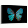 Framed wall art collection featuring a vibrant butterfly and arachnid design on canvas, displayed in a sleek black frame, adding a touch of nature-inspired decor.