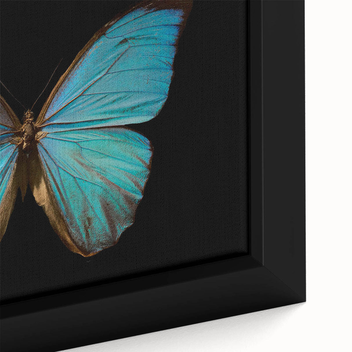 Close-up of a framed canvas wall art piece showcasing a detailed butterfly design, featuring vibrant colors and intricate patterns, perfect for nature enthusiasts and home decor.