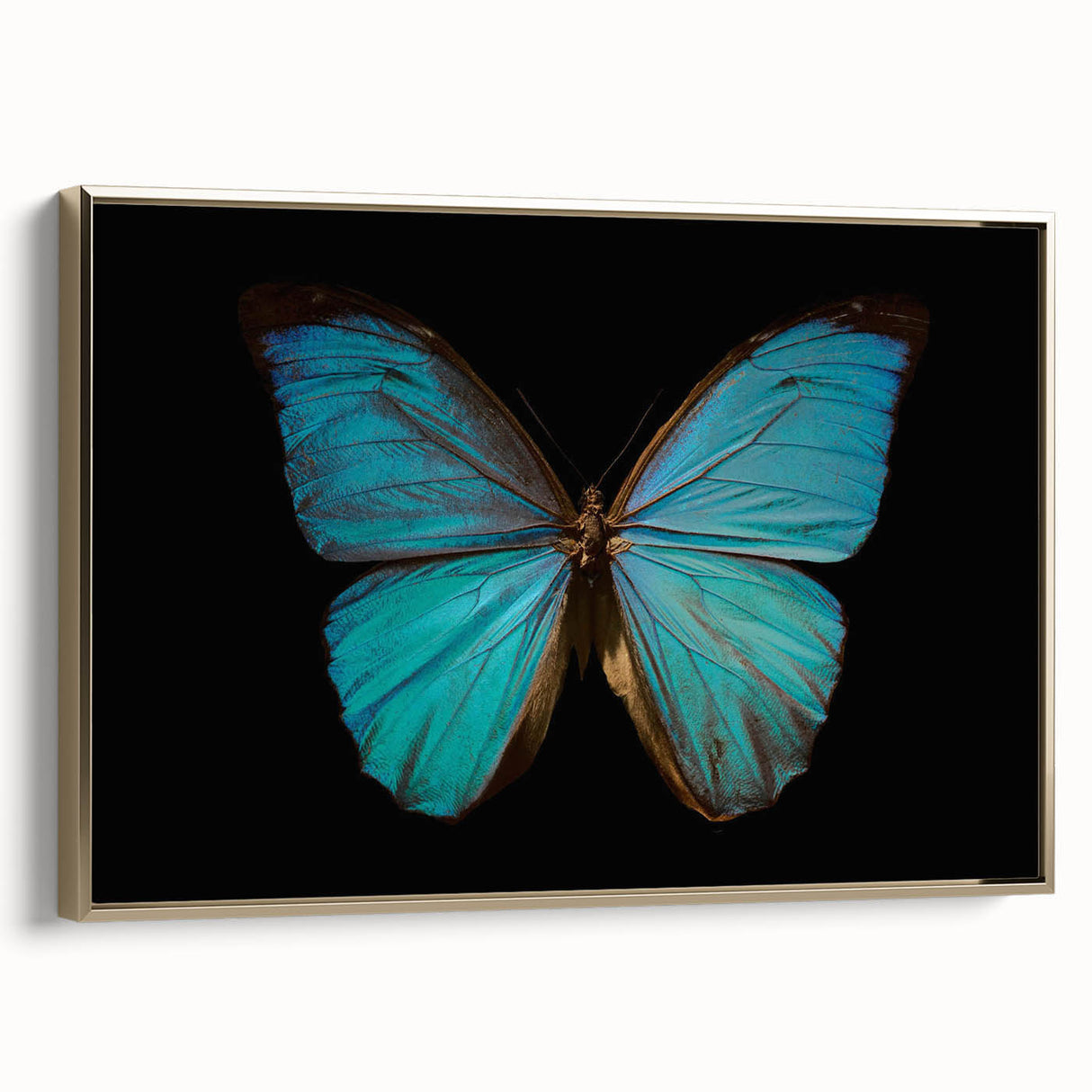 Framed wall art collection featuring a vibrant butterfly and arachnid design on textured canvas, with a sleek gold frame, ideal for modern decor.