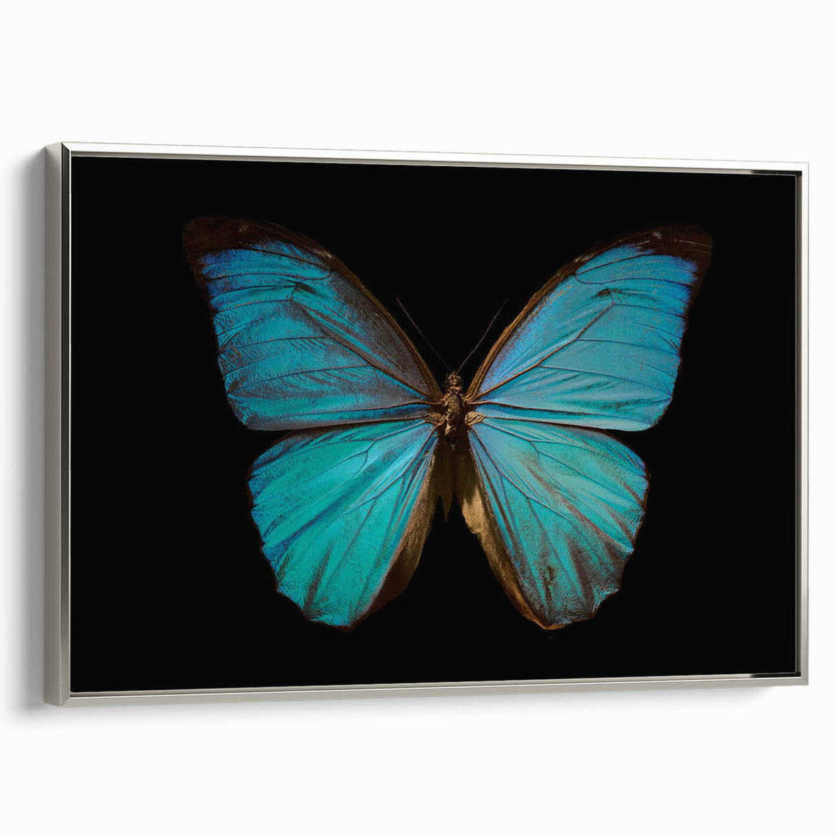 Framed wall art featuring a colorful butterfly design, showcasing intricate insect and arachnid details on a textured canvas, set in a sleek silver frame.