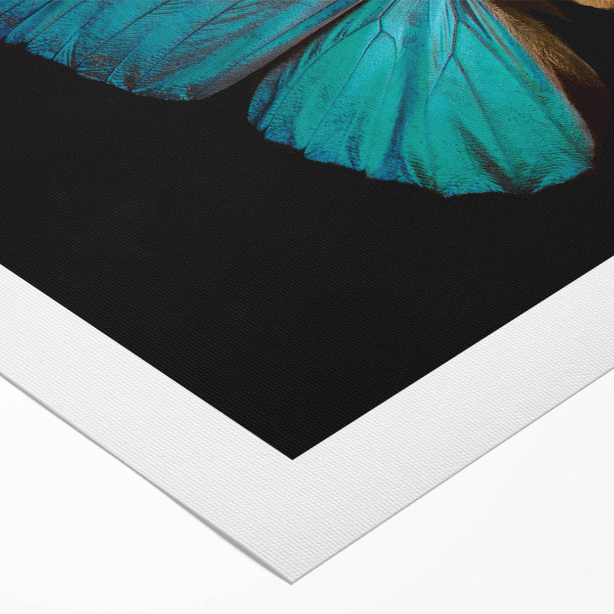 Colorful rolled canvas showcasing a detailed butterfly design in an insect and arachnid art collection, ideal for nature-themed home decor. Perfectly packaged for easy display.