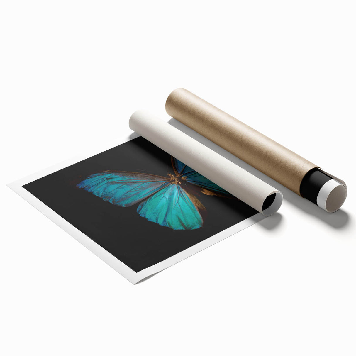 Colorful butterfly wall art print showcasing intricate insect and arachnid designs, rolled and ready for framing, perfect for nature lovers and home decor enthusiasts.