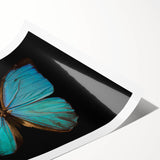 Colorful butterfly wall art featuring intricate insect and arachnid designs, ideal for home decor or educational purposes, rolled for easy transport and display.