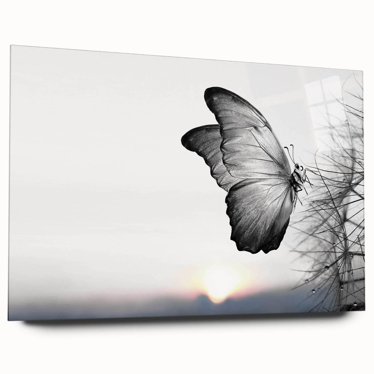 Colorful butterfly and arachnid-themed wall art print displayed in an acrylic glass frame, showcasing intricate details and vibrant hues, perfect for home decor.
