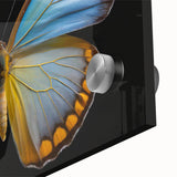 Close-up of vibrant butterfly and insect wall art design printed on acrylic glass, showcasing intricate details and vivid colors, ideal for modern decor.