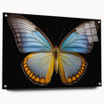 Acrylic wall art display featuring an intricate butterfly design, showcasing vibrant colors and detailed insect motifs, presented in a modern side view with mounting pins.