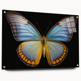 Acrylic wall art display featuring an intricate butterfly design, showcasing vibrant colors and detailed insect motifs, presented in a modern side view with mounting pins.