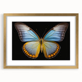 Framed wall art showcasing a stunning butterfly design from the Insect and Arachnid collection, featuring a gold frame and mat, ideal for nature-inspired decor.