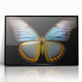 Framed wall art featuring a vibrant butterfly design from the Insect and Arachnid collection, presented in a sleek black frame, ideal for nature enthusiasts and home decor.
