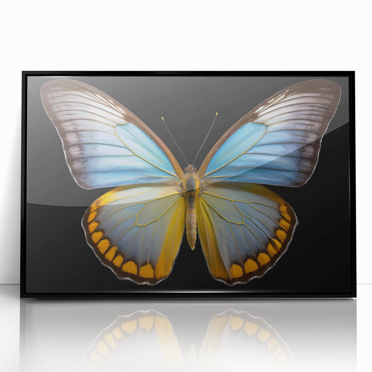 Framed wall art featuring a vibrant butterfly design from the Insect and Arachnid collection, presented in a sleek black frame, ideal for nature enthusiasts and home decor.