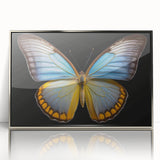 Framed wall art collection showcasing a vibrant butterfly and arachnid design, featuring a sleek silver frame and acrylic front, ideal for nature-themed decor.