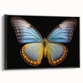 Framed wall art featuring a vibrant butterfly design, showcasing intricate insect and arachnid patterns on a textured canvas, set against a sleek black frame. Ideal for nature lovers and modern decor enthusiasts.