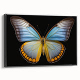 Framed wall art featuring a vibrant butterfly design, showcasing intricate insect and arachnid patterns on a textured canvas, set against a sleek black frame. Ideal for nature lovers and modern decor enthusiasts.