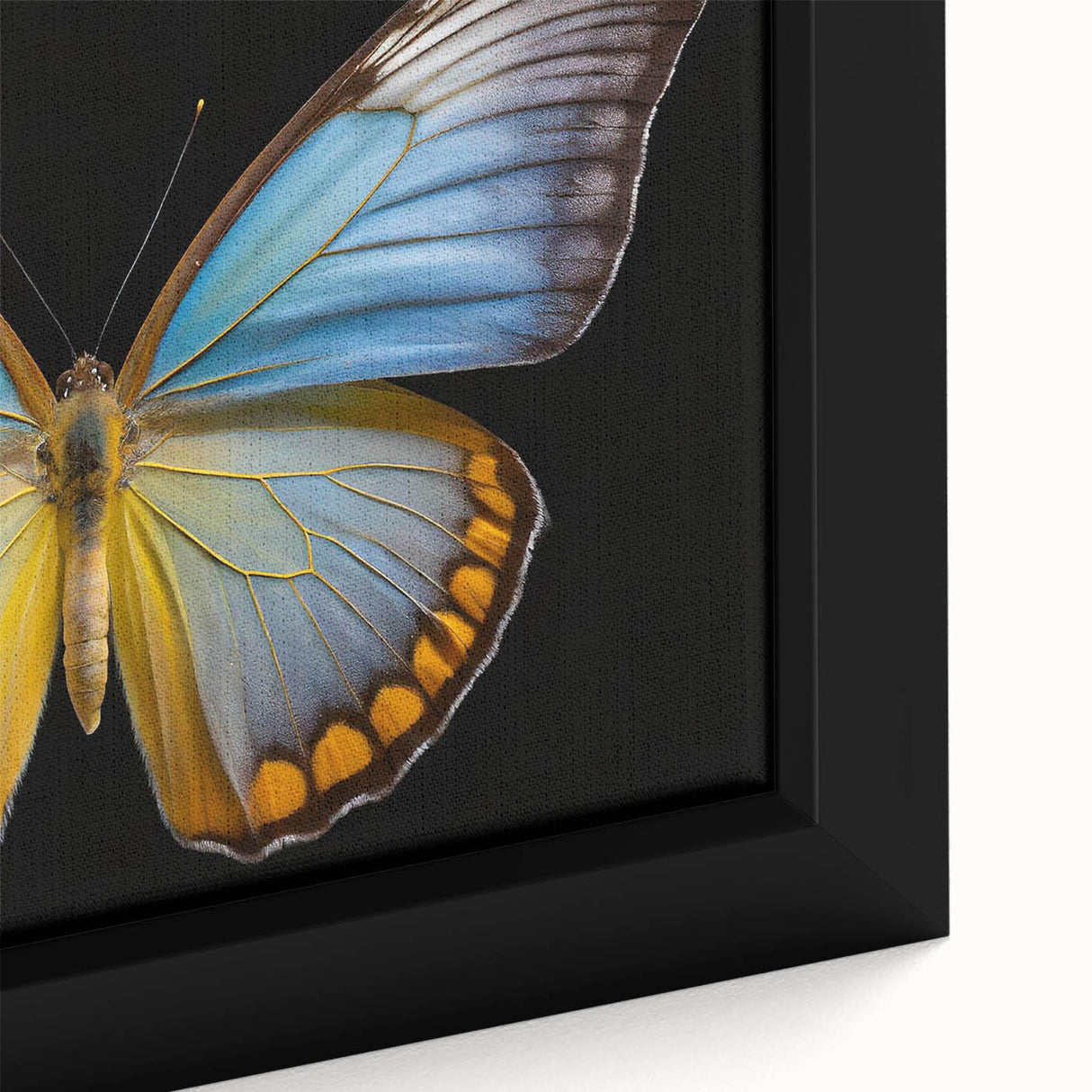 Framed canvas wall art featuring a close-up design of colorful butterflies and insects, showcasing intricate details and vibrant colors, perfect for nature lovers.