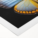 Colorful butterfly-themed wall art design on rolled canvas, showcasing intricate details and vibrant hues, perfect for enhancing home decor and nature-inspired spaces.