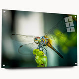 Acrylic glass wall art featuring a vibrant dragonfly design, showcasing intricate details and colors, displayed with pins on a neutral background, ideal for nature lovers.