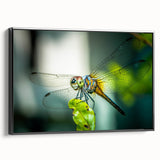 Framed wall art featuring a detailed dragonfly design on a textured canvas, showcasing vibrant colors and intricate patterns, perfect for home decor enhancement.