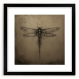 Framed wall art featuring a detailed dragonfly design, showcasing intricate insect and arachnid elements with a black mat and frame, perfect for nature enthusiasts.