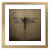 Dragonfly wall art design framed in gold with a mat, showcasing intricate insect and arachnid motifs, ideal for nature-inspired home decor.