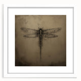 Framed wall art featuring a detailed dragonfly design from the Insect and Arachnid collection, showcased in a white mat and frame, ideal for nature-themed decor.