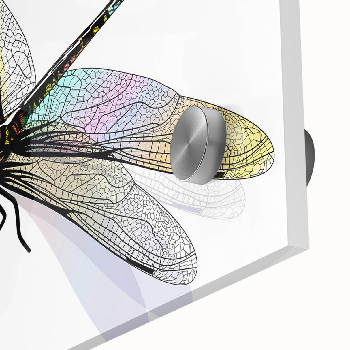 Close-up of a vibrant dragonfly-themed wall art piece, featuring detailed insect and arachnid designs on acrylic glass, ideal for nature lovers' decor.