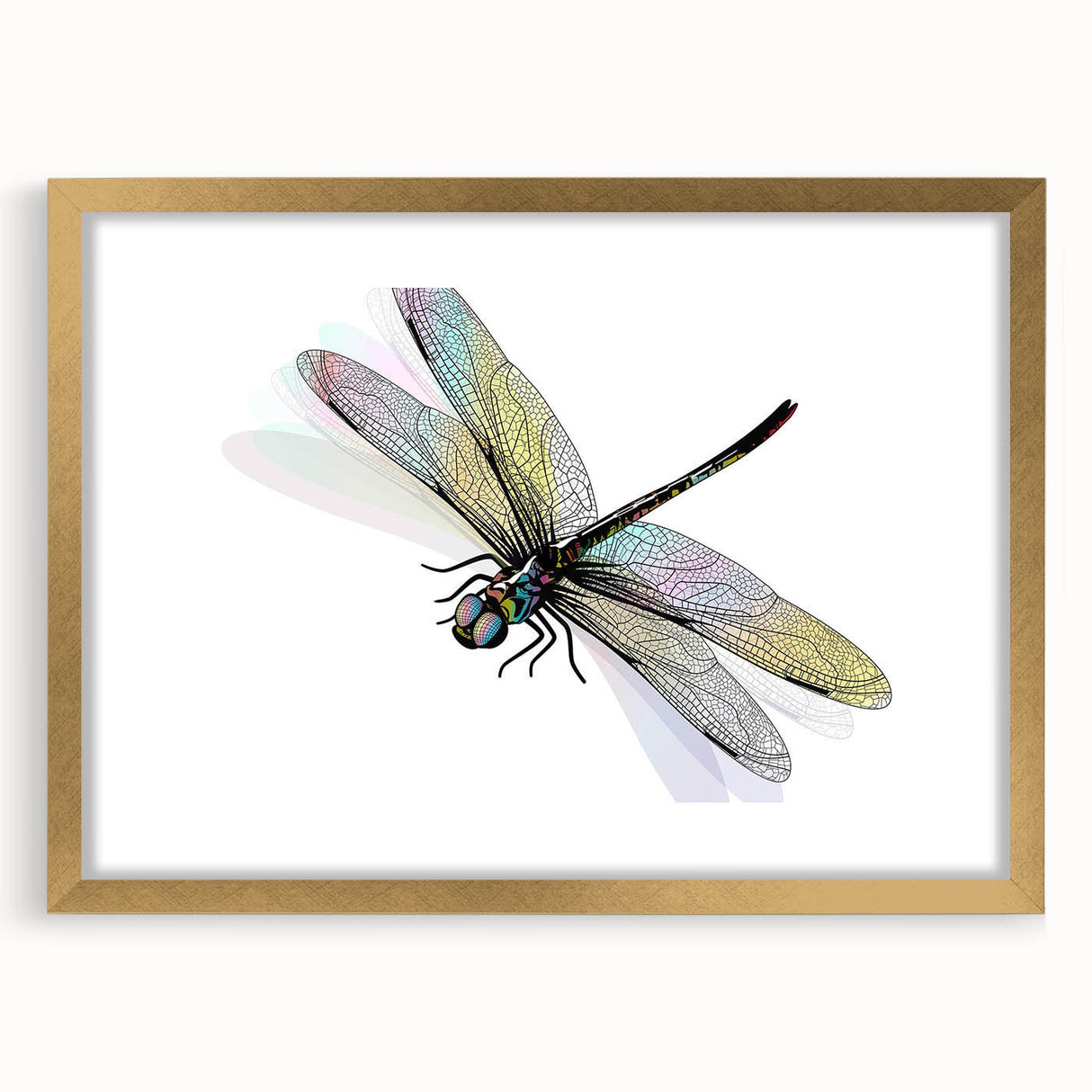 Framed wall art collection showcasing a dragonfly design, featuring intricate insect and arachnid details in gold accents, perfect for nature enthusiasts.