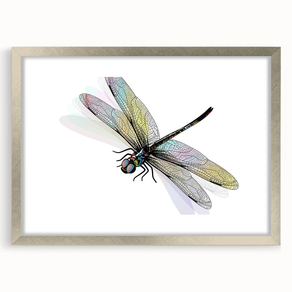 Dragonfly wall art collection framed with mat in silver, showcasing intricate insect and arachnid designs, perfect for nature-inspired home decor.