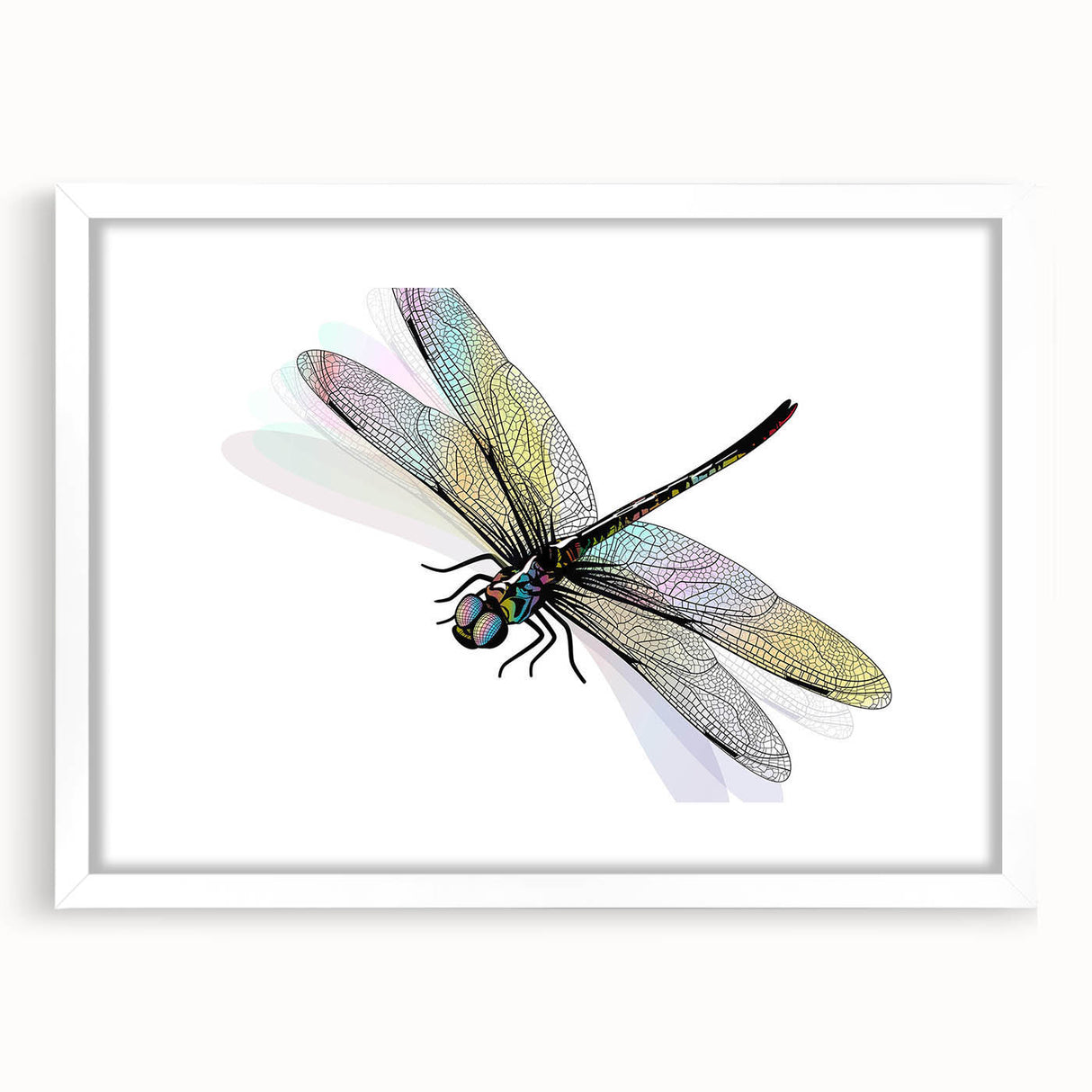 Framed dragonfly wall art design featuring intricate insect and arachnid illustrations, set in a white mat, ideal for nature-themed decor. Perfect for adding elegance and charm to any room.