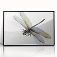 Framed wall art featuring a detailed dragonfly design with vibrant colors on a black background, perfect for nature lovers and home decor enthusiasts.