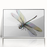 Framed acrylic wall art showcasing a vibrant dragonfly design in a modern white frame, ideal for nature-inspired home decor and artistic accents.