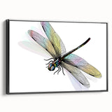 Framed wall art featuring a detailed dragonfly design in vibrant colors, showcasing intricate patterns on a black background, ideal for nature-themed decor.