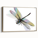 Framed canvas wall art featuring a detailed dragonfly design with intricate patterns in gold hues, perfect for adding elegance to home decor. Ideal for nature lovers and art enthusiasts.