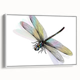 Framed wall art featuring a delicate dragonfly design in vibrant colors, showcasing intricate details against a white background. Ideal for nature-themed decor.