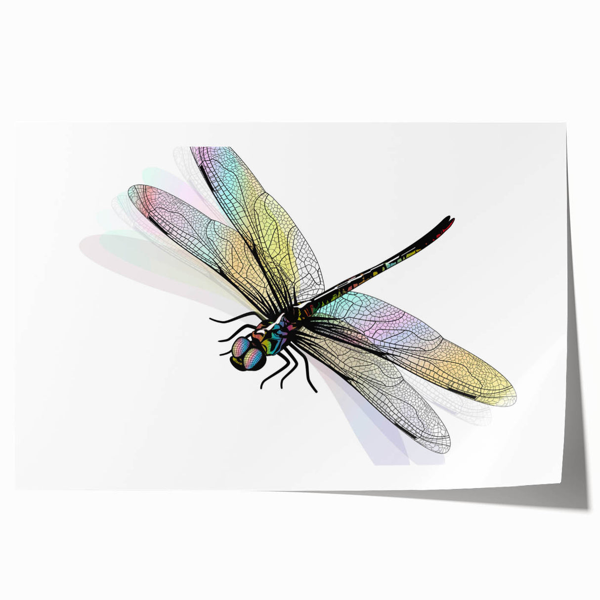 Colorful dragonfly wall art print showcasing intricate insect and arachnid designs, ideal for nature lovers and home decor enthusiasts, rolled for easy framing.