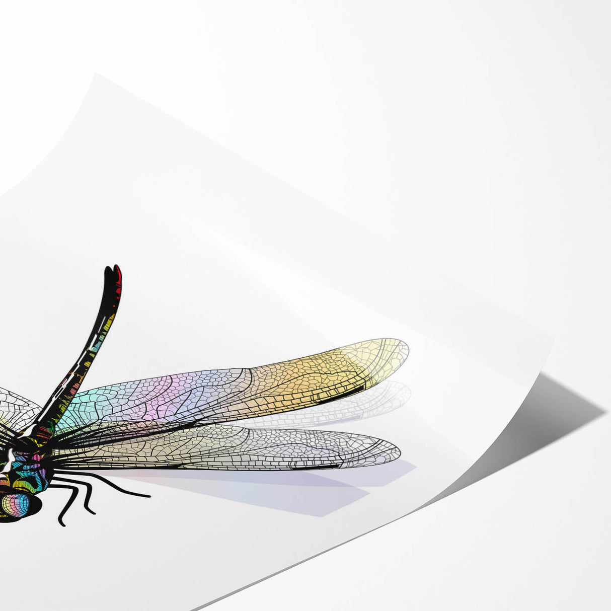Dragonfly wall art print showcasing intricate insect and arachnid designs, featuring vibrant colors on a textured surface, perfect for home decor enthusiasts.