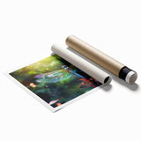 Vibrant dragonfly wall art print showcasing intricate insect and arachnid designs, elegantly rolled and ready for framing, perfect for nature enthusiasts.