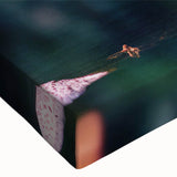 Close-up of a vibrant dragonfly wall art design on stretched canvas, showcasing intricate details and colors, perfect for nature enthusiasts and home decor.