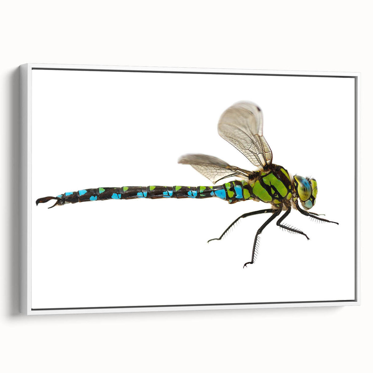 Framed canvas wall art featuring a detailed dragonfly design in vibrant colors, showcased against a white background, ideal for nature-themed decor.