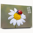 Side view of a ladybug design wall art collection, featuring vibrant colors and intricate details, displayed in a modern acrylic glass frame with pins for easy hanging. Perfect for nature-themed decor enthusiasts.
