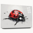 Colorful acrylic wall art showcasing a side view of a ladybug design, beautifully displayed with decorative pins on a clear glass surface, perfect for insect lovers.
