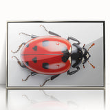 Framed acrylic wall art featuring a detailed ladybug design from the Insect and Arachnid collection, displayed with a sleek silver frame, perfect for nature enthusiasts.