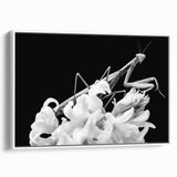 Framed wall art showcasing a detailed design of a mantis, featuring vibrant colors and intricate patterns, ideal for insect lovers and modern decor enthusiasts.